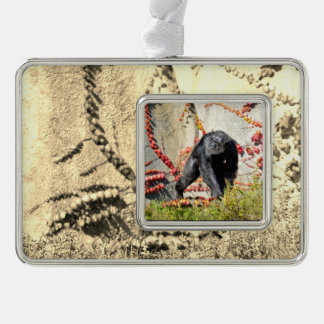 Schimpanse (Pantroglodytes), auf GrasPoster laufen Rahmen-Ornament Silber