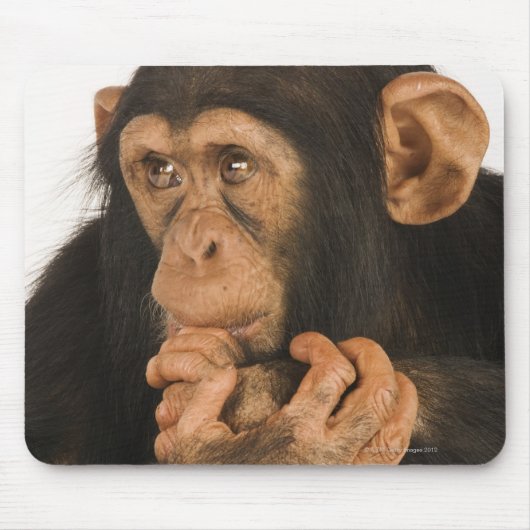 Schimpanse (Pantroglodytes). Junge Spielerin 2 Mousepad (Vorne)