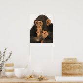 Schimpanse (Pantroglodytes). Junge Spielerin 2 Poster (Küche)