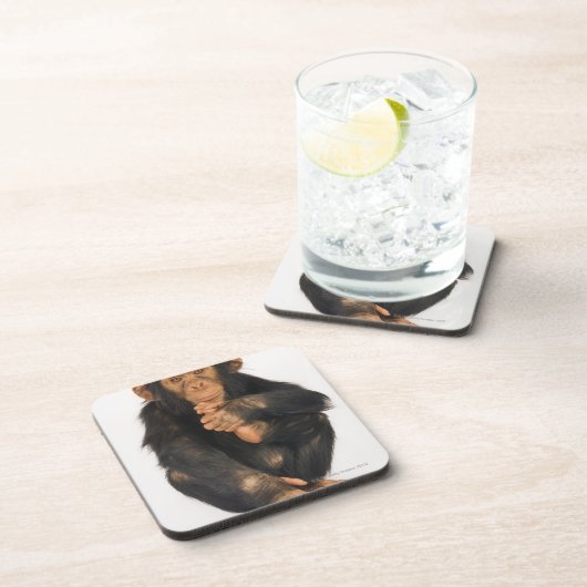 Schimpanse (Pantroglodytes). Junges playfull Untersetzer (Rechte Seite)