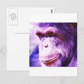 Schimpanse Postkarte (Vorne/Hinten)
