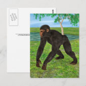 Schimpanse Postkarte (Vorne/Hinten)