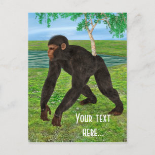 Schimpanse Postkarte