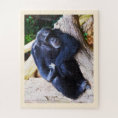 Schimpanse Puzzle (Vertikal)