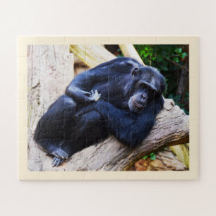 Schimpanse Puzzle