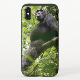 Schimpanse Relaxen auf Baum iPhone X Slider Hülle