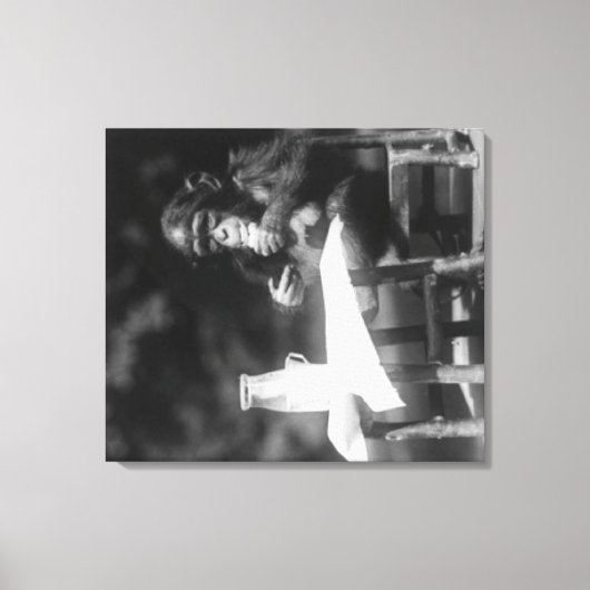 Schimpanse sitzt am Tisch im Nationalpark Leinwanddruck (Vorderseite)