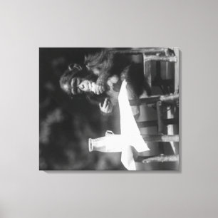 Schimpanse sitzt am Tisch im Nationalpark Leinwanddruck