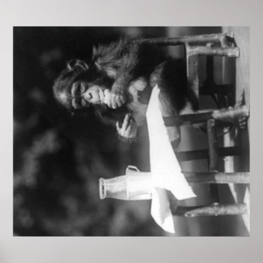 Schimpanse sitzt am Tisch im Nationalpark Poster (Vorne)