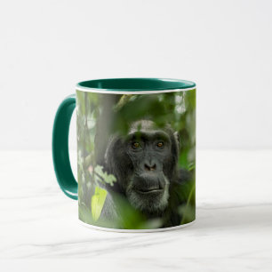 Schimpanse versteckt in der Vegetation Tasse