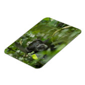 Schimpanse versteckt unter Vegetation Magnet (Linke Seite)