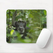Schimpanse versteckt unter Vegetation Mousepad (Mit Mouse)