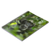 Schimpanse versteckt unter Vegetation Notizblock (Linke Seite)