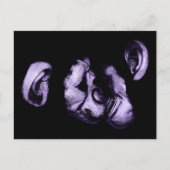 Schimpansen küssen postkarte (Vorderseite)