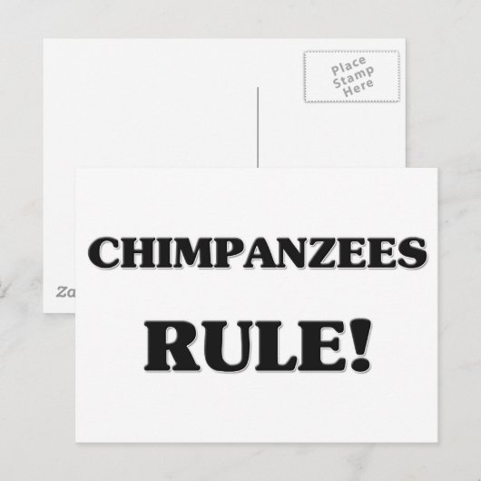 Schimpansen-Regel Postkarte (Vorne/Hinten)