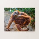 Schimpansenaffe Jigsaw Puzzle (Horizontal)