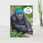 Schimpansengraduat mit Aquamariner Spitze Karte (Vorderseite)