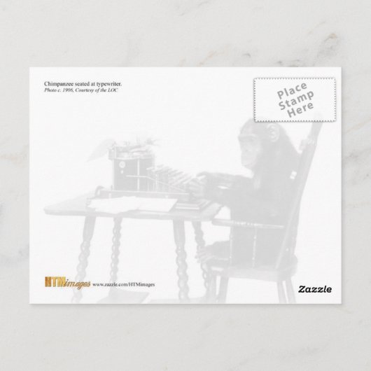 Schimpansentypisierung Postkarte (Rückseite)