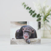 Schimpanze Postkarte (Stehend Vorderseite)