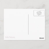 Schimpanze Postkarte (Rückseite)