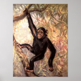Schimpanzee Monkey von CE Swan, Vintage Wildtiere Poster