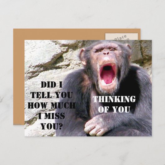 Schimpanzee_ Postkarte (Vorne/Hinten)