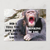 Schimpanzee_ Postkarte (Vorderseite)