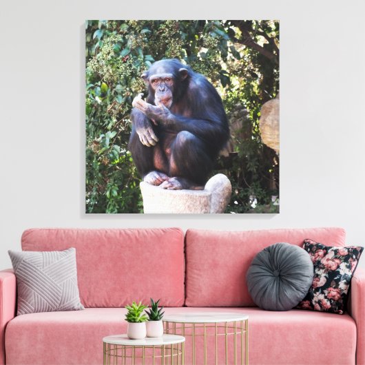 Schimpanzentier Leinwanddruck (Insitu (Wohnzimmer))