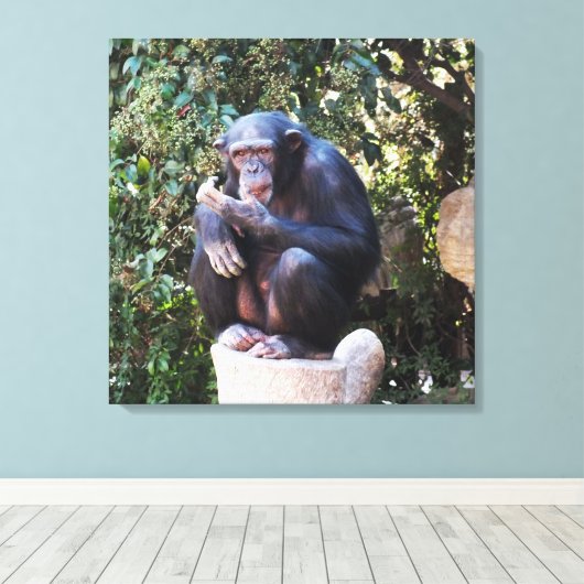 Schimpanzentier Leinwanddruck (Insitu (Holzboden))