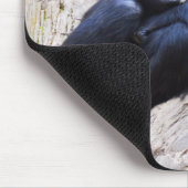 Schimpanzentier Mousepad (Ecke)
