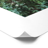 Schimpanzentier Poster (Ecke)