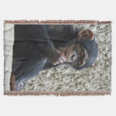 Schimppanzee 013 decke (Vorderseite)