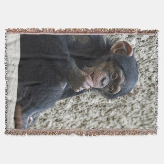 Schimppanzee 013 decke (Vorderseite)