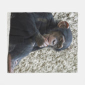 Schimppanzee 013 fleecedecke (Vorderseite (Horizontal))