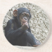 Schimppanzee 013 getränkeuntersetzer (Vorne)