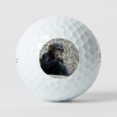 Schimppanzee 013 golfball (Vorderseite)