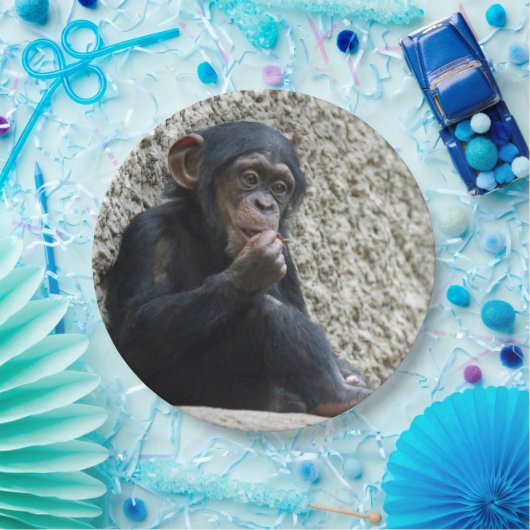Schimppanzee 013 pappteller (Party)
