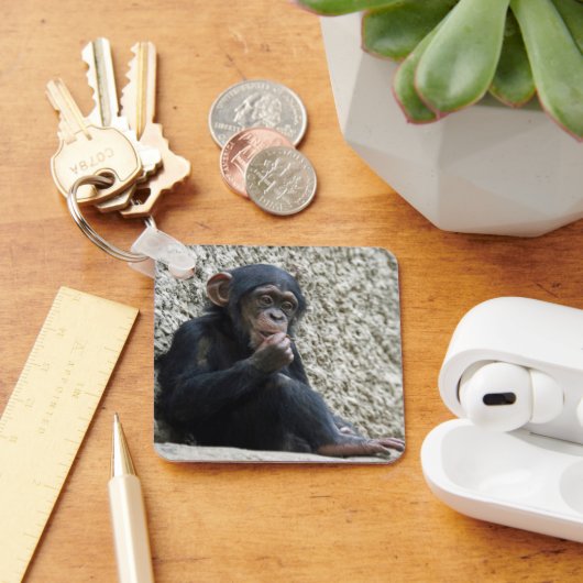 Schimppanzee 013 schlüsselanhänger (Schreibtisch)