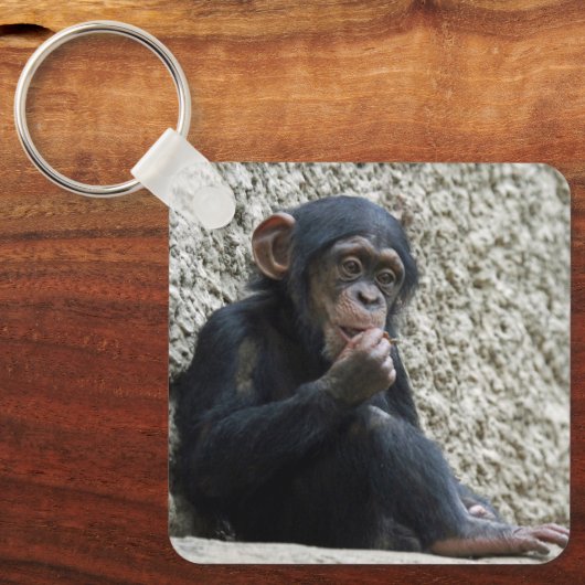 Schimppanzee 013 schlüsselanhänger (Vorderseite)