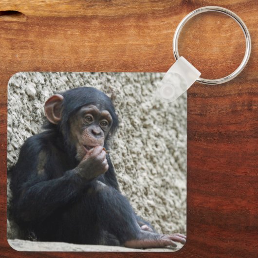 Schimppanzee 013 schlüsselanhänger (Rückseite)