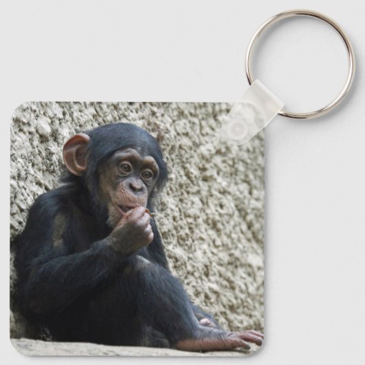 Schimppanzee 013 schlüsselanhänger (Rückseite)