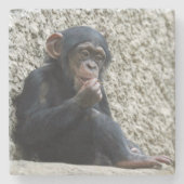 Schimppanzee 013 steinuntersetzer (Vorderseite)