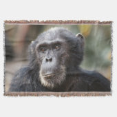 Schimppanzee Decke (Vorderseite)