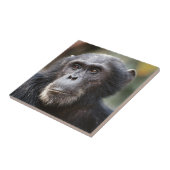 Schimppanzee Fliese (Seite)