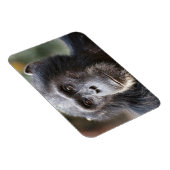 Schimppanzee Magnet (Rechte Seite)