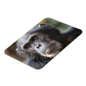 Schimppanzee Magnet (Linke Seite)