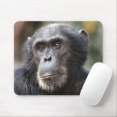 Schimppanzee Mousepad (Mit Mouse)