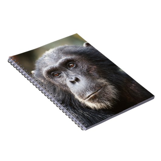 Schimppanzee Notizblock (Rechte Seite)