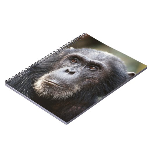 Schimppanzee Notizblock (Linke Seite)