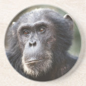 Schimppanzee Sandstein Untersetzer (Vorne)
